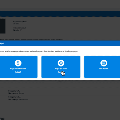 Pagos referenciados y en línea (Tarjeta de crédito y débito)